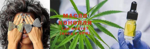молекула духа Бугульма