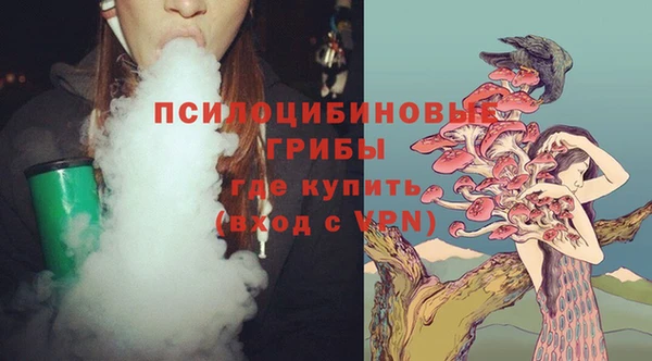 молекула духа Бугульма