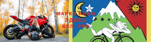 молекула духа Бугульма