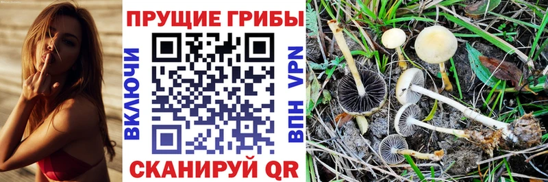Галлюциногенные грибы GOLDEN TEACHER  Купить закладки  Опочка 